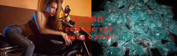 спайс Белоозёрский