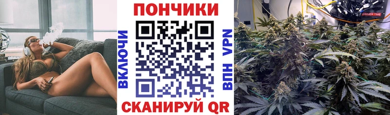 закладка  Володарск  Бошки Шишки Bruce Banner 